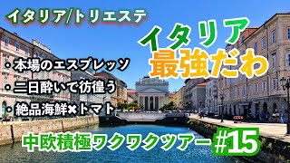 ＃15【イタリアトリエステ②】蒼の世界【中欧積極ワクワクツアー】 [upl. by Rammaj]