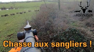 Chasse aux Sangliers 2021  Une belle compagnie [upl. by William103]