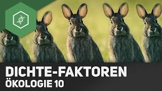 Dichteabhängige und dichteunabhängige Faktoren  Ökologie 10 [upl. by Didier]