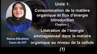 Cours SVT 2 Bac Biof Unité 1  Consommation de la matière organique et flux d’énergie partie 1 [upl. by Adnala]