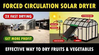 Forced Circulation Solar Dryer  Solar Dryer System for Fruits and Vegetables [upl. by Nivrem909]