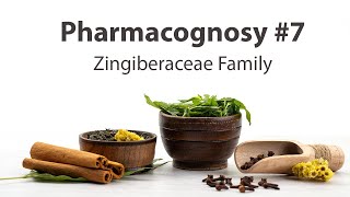 7 Zingiberaceae Family  Pharmacognosy [upl. by Doownil]