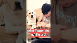 😜😂Animel funny video funny funnyvideos comedy shortsvideo memes shorts [upl. by Tammi]