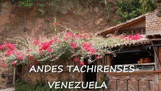 ANDES TACHIRENSES VENEZUELA HD [upl. by Doroteya]