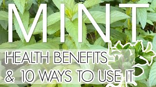 MINT  health benefits amp 10 ways to use it [upl. by Yllehs]