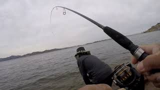 Let Go Fishing Carp At Millerton Lake [upl. by Otipaga510]