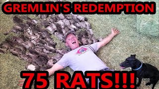 Gremlins Redemption 75 RATS [upl. by Airtemak]