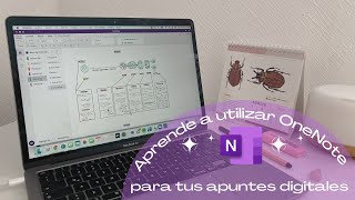 Aprende a utilizar OneNote ✨ Programa GRATIS para tus apuntes digitales💻 [upl. by Adeehsar]