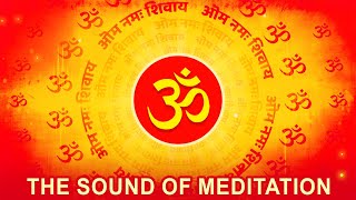 OM संगीत  The Power of Chanting Om in Nature  tubestory meditation [upl. by Armillas]