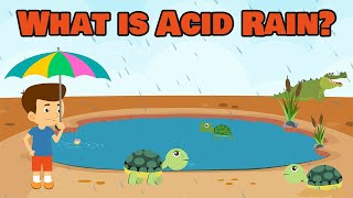 What is Acid Rain  Acid Rain  Video for Kids [upl. by Surad]