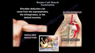 Rotator Cuff Muscle Examination  Everything You Need To Know  Dr Nabil Ebraheim [upl. by Akinuahs]