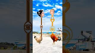 Mobile photography Funny videos of roosters and hens Fighter among roosters Original works Speci [upl. by Noirod]