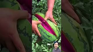 Farm Fresh Ninja Fruit Cutting  Oddly satisfying shorts ninjafruitcutting [upl. by Mayce]