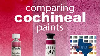 Comparing Cochineal Red Paints  ft Schmincke Lutea amp Texas WildColor ♥️ [upl. by Llennol943]