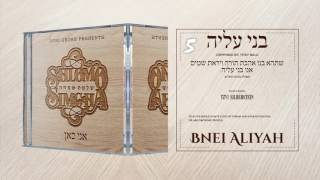 Shlomo Simcha  Ani Kan Sampler [upl. by Eednyl]