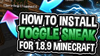 How to Get Toggle SneakSprint for Minecraft 189 [upl. by Yunick]