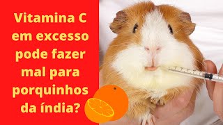 A vitamina C em excesso pode fazer mal para porquinhos da índia [upl. by Bernat]