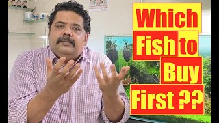 First Fish for Your New Aquarium  Top Fish to Buy amp Fishkeeping Tips [upl. by Lahcim]