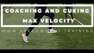 How to improve running mechanics  Coaching and Cueing Max Velocity [upl. by Celestine]