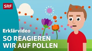 Was sind die typischen Symptome einer Pollenallergie [upl. by Mattah]