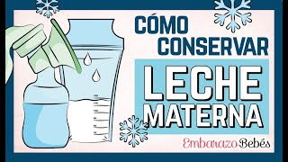 Cómo ALMACENAR LECHE materna extraída 🍼❄️ Pautas y tiempos [upl. by Eusoj]