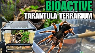 HOW TO MAKE A BIOACTIVE TARANTULA TERRARIUM Tarantula Cribs Acrylic Replacement Lids [upl. by Barbra]