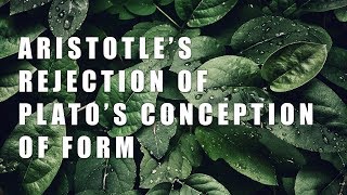 Aristotle’s Rejection of Plato’s Conception of Form [upl. by Dann516]