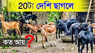 20টা Black Bengal ছাগলে কত আয় 🐐🐐  দেশি ছাগলের খামার  Goat Farming in West Bengal  Goat Farm [upl. by Enirolf]