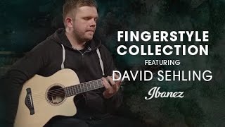 Ibanez Fingerstyle Collection  ACFS580CE featuring David Sehling [upl. by Johathan947]