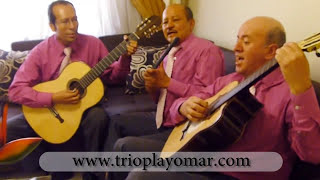 TRIO PLAYOMAR VALLENATOS EN GUITARRA [upl. by Granese]