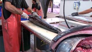 Bubbas Stiff and Flex Fillet Knives vs Giant Tuna and Wahoo  Pros in Action [upl. by Duester]