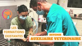 DEVENIR AUXILIAIRE VETERINAIRE LES FORMATIONS [upl. by Orin]