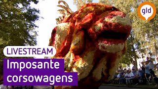 TERUGKIJKEN  Bloemencorso Lichtenvoorde 2023 [upl. by Elocan]