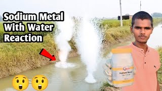 Sodium Metal With Water Reaction  सोडियम मेटल [upl. by Ruenhs]