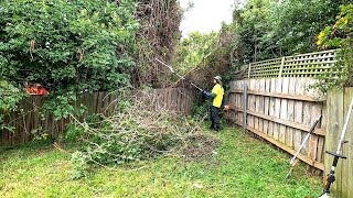 I got the BIG GUNS out on this OVERGROWN yard CLEANUP [upl. by Alisen979]