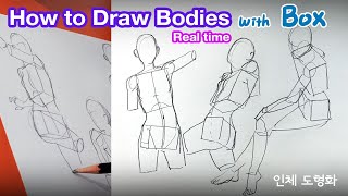 How to draw bodies with boxes Simplify Anatomy [upl. by Ikkela]