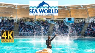 Seaworld Gold Coast Australia 🇦🇺 4K Walk Tour [upl. by Ahsital]