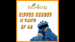 Kelp4less Podcast  Ep 45  Hidden Hunger In Plants [upl. by Eycats]