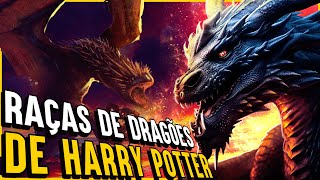 CONHEÇA AS 12 RAÇAS DE DRAGÕES EM HARRY POTTER [upl. by Anatak]