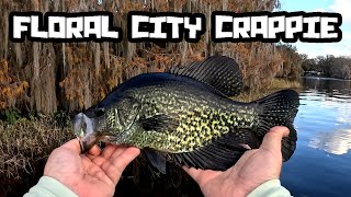 Jiggin BLACK Crappie on Floral City Lake [upl. by Maris]