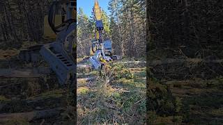 Kesla Harvester 20SH Stroke Head Testing forestrymachinery kesla stroke head [upl. by Ical259]