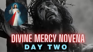 Divine Mercy Novena Day 2 [upl. by Yrac707]