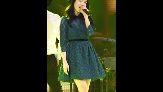 140925 아이유 너랑나 직캠 우송대학교 34 [upl. by Anatnas431]