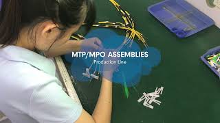 MTPMPO Fiber Cable Assemblies Production Line Factory [upl. by Lajet]