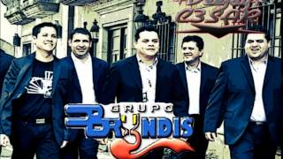 Grupo Bryndis Solo Exitos Mix [upl. by Christoforo150]