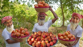 Pomegranate Healthy Juice  Fruits Juice Recipe of Grandpa for Old Age Unfortunate People [upl. by Kahle]