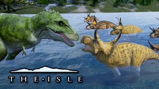 Dinosaur BATTLE  The Isle [upl. by Cheadle]