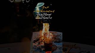 quotes Maulay ali farmatay kisi se muhabbat ho jay to sadqa do [upl. by Prosperus]