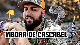 Vibora de CASCABEL ☣ Cosina SALVAJE 🔥🐍  Rattlesnake Tacos [upl. by Simah]