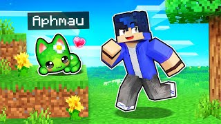 My SECRET Cute Kitten CHEATS In Minecraft [upl. by Aihsetan731]